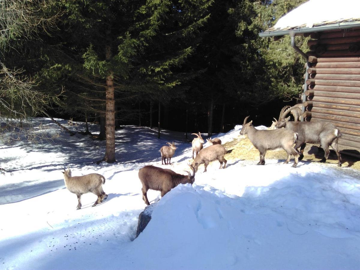 Hotel Bed & Rooms , Corte Rossa -1 Min Walk To Bernina Express Tirano Exterior photo